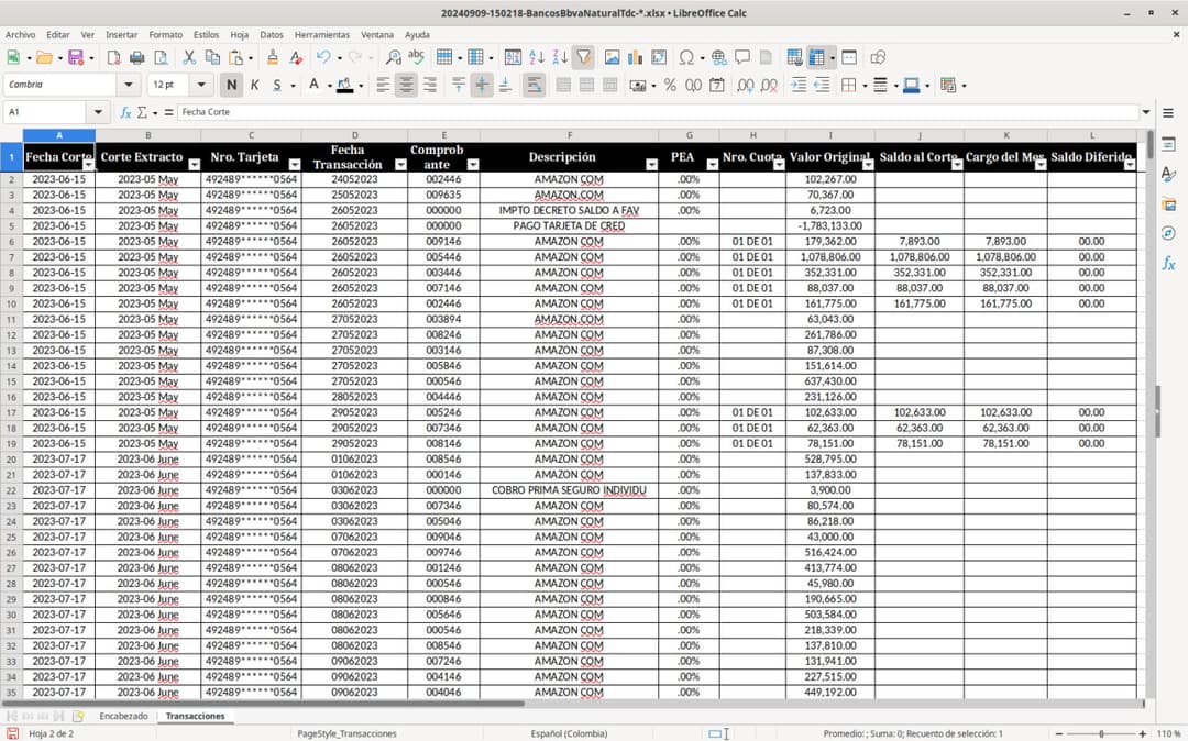 Excel generado
